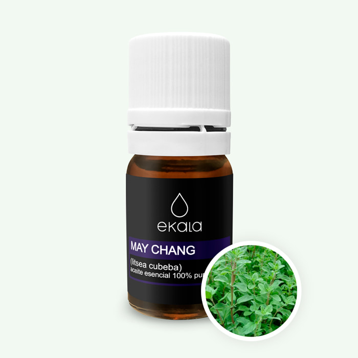 Aceite Esencial de Menta fco. de 5ml - Propiedades y beneficios