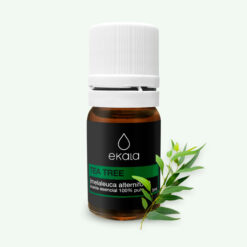 Aceite Esencial de Tea Tree (árbol de té)